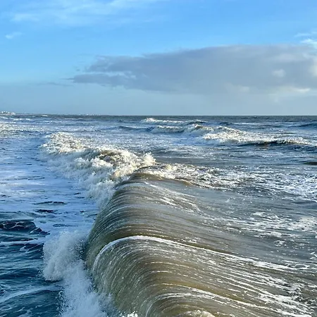 شقة 2 Pieces Equipe A 100 M De La Avec Place De Parking *